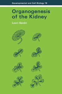 bokomslag Organogenesis of the Kidney