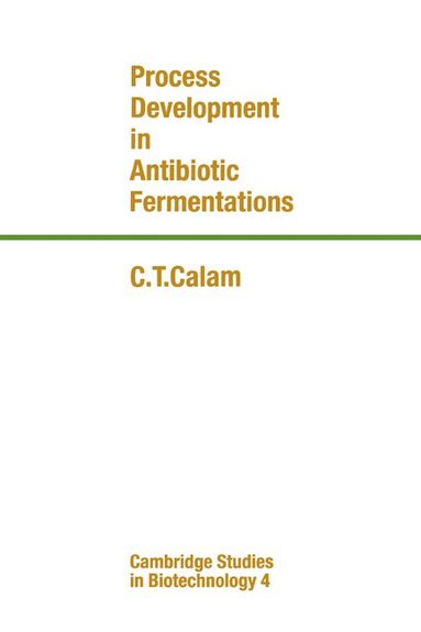 bokomslag Process Development in Antibiotic Fermentations