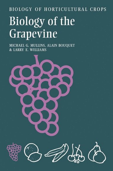 bokomslag Biology of the Grapevine