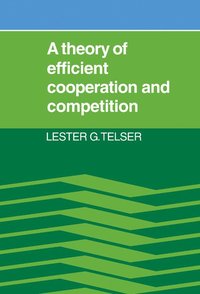 bokomslag A Theory of Efficient Cooperation and Competition