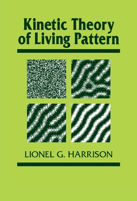 Kinetic Theory of Living Pattern 1