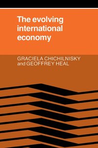 bokomslag The Evolving International Economy