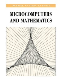 bokomslag Microcomputers and Mathematics