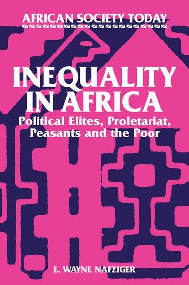 E. Wayne Nafziger - Inequality in Africa, Häftad