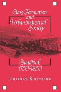 bokomslag Class Formation and Urban Industrial Society