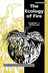 bokomslag Ecology of Fire
