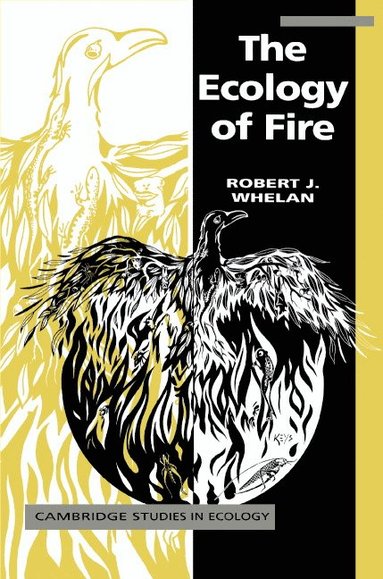 bokomslag Ecology of Fire
