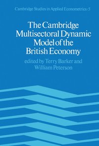 bokomslag The Cambridge Multisectoral Dynamic Model