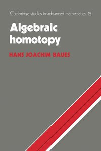 bokomslag Algebraic Homotopy