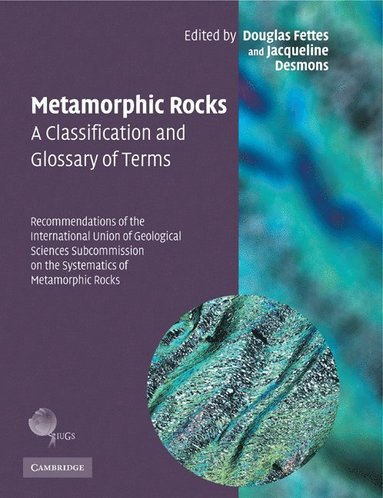 bokomslag Metamorphic Rocks: A Classification and Glossary of Terms