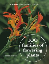 bokomslag 100 Families of Flowering Plants