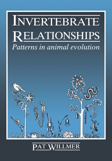 Invertebrate Relationships 1