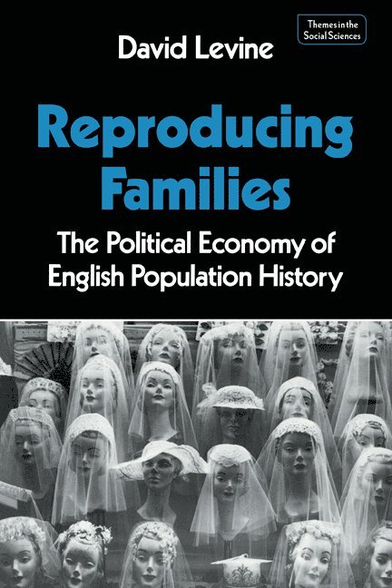 David P. Levine, David Levine, Levine David P., Jack Goody - Reproducing Families, Häftad