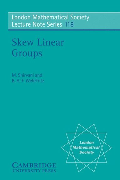 bokomslag Skew Linear Groups