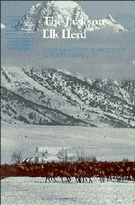 The Jackson Elk Herd