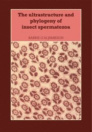 Barrie G. M. Jamieson - The Ultrastructure and Phylogeny of Insect Spermatozoa, Inbunden