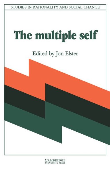 Jon Elster - The Multiple Self, Häftad