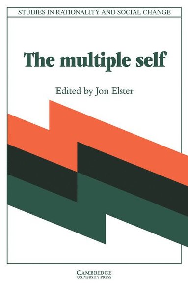 bokomslag The Multiple Self