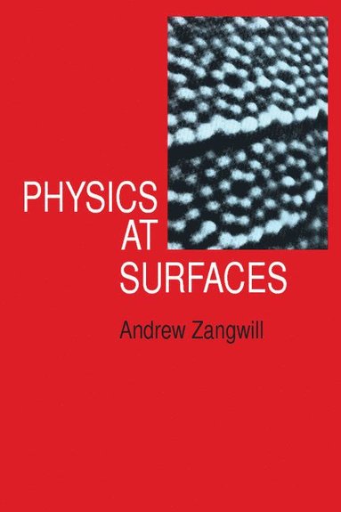 bokomslag Physics at Surfaces