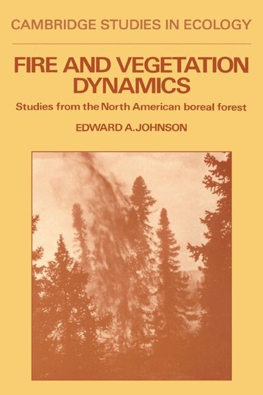 Edward A. Johnson, H. J. B. Birks, J. A. Wiens - Fire and Vegetation Dynamics, Häftad