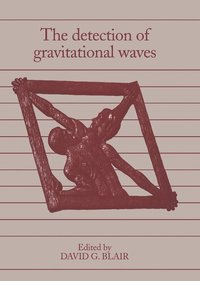 bokomslag The Detection of Gravitational Waves