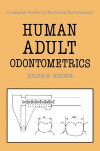 bokomslag Human Adult Odontometrics: The Study of Variation in Adult Tooth Size