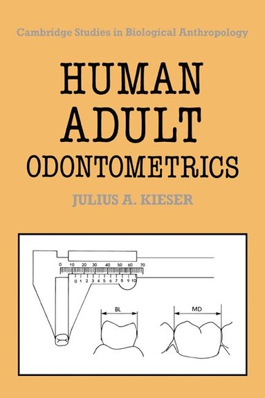 bokomslag Human Adult Odontometrics