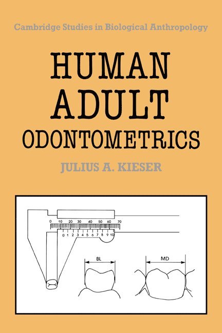 Human Adult Odontometrics 1
