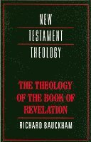 bokomslag The Theology of the Book of Revelation