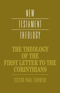 bokomslag The Theology of the First Letter to the Corinthians