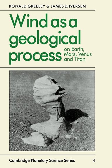 Ronald Greeley, James D. Iversen - Wind as a Geological Process, Häftad