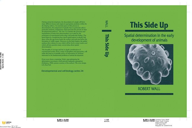 Robert Wall - This Side Up, Inbunden