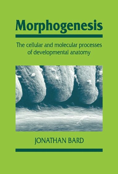 Jonathan Bard - Morphogenesis, Inbunden