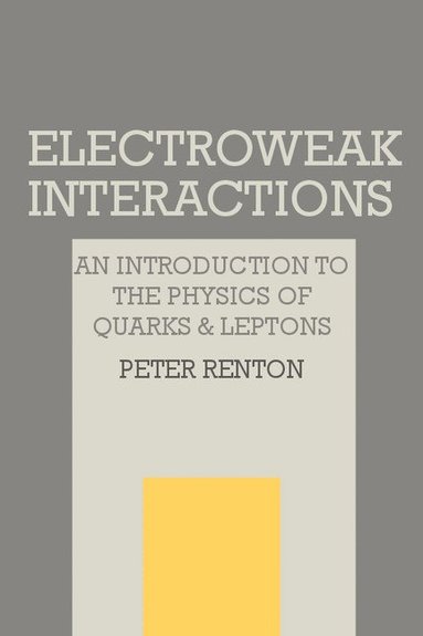 bokomslag Electroweak Interactions