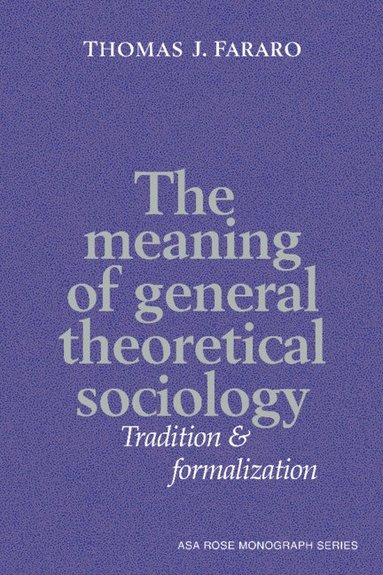 bokomslag The Meaning of General Theoretical Sociology