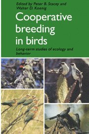 bokomslag Cooperative Breeding in Birds