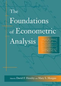 bokomslag The Foundations of Econometric Analysis