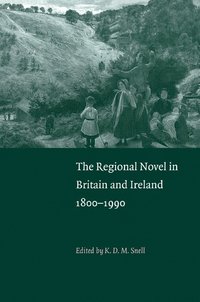 bokomslag The Regional Novel in Britain and Ireland