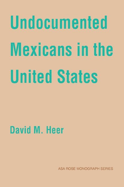 Undocumented Mexicans in the USA 1