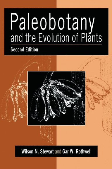 bokomslag Paleobotany and the Evolution of Plants