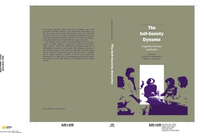 Judith A. Howard, Peter L. Callero - Self-Society Dynamic, Inbunden