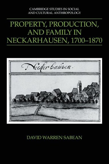 bokomslag Property, Production, and Family in Neckarhausen, 1700-1870