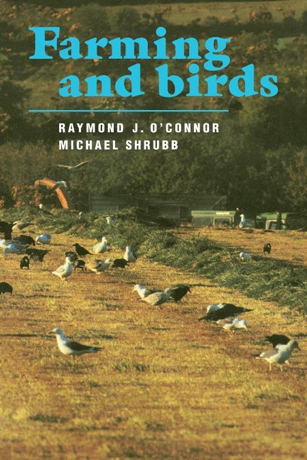 Farming and Birds 1