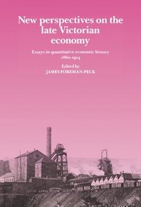 bokomslag New Perspectives on the Late Victorian Economy
