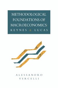 bokomslag Methodological Foundations of Macroeconomics