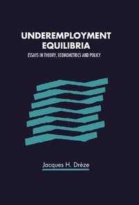 bokomslag Underemployment Equilibria