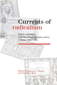 bokomslag Currents of Radicalism