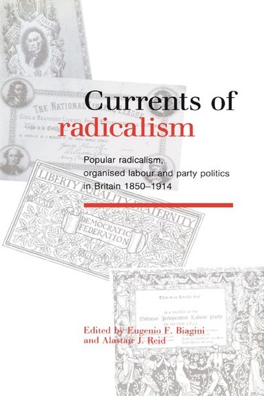 bokomslag Currents of Radicalism