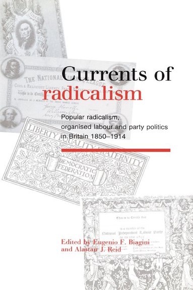 bokomslag Currents of Radicalism: Popular Radicalism, Organised Labour and Party Politics in Britain, 1850 1914