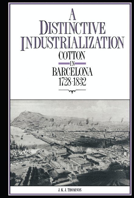 Distinctive Industrialization